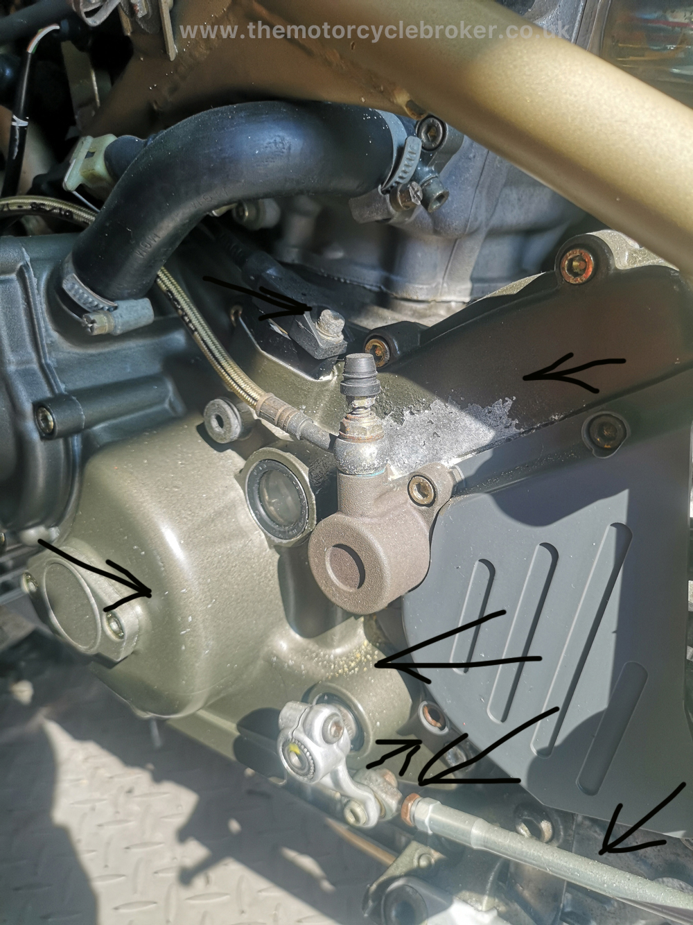 Two Ducati 916 SPS Foggy Replicas examination